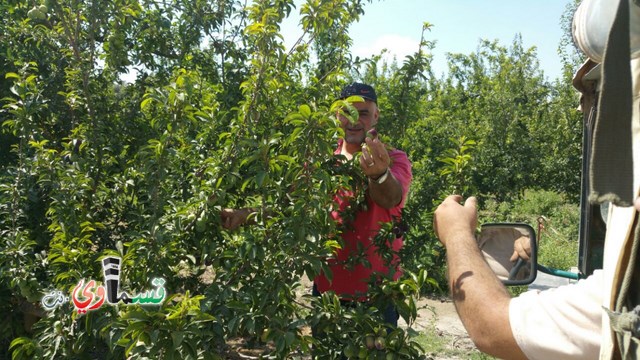  كفرقاسم: طاقم معلمي ومعلمات مدرسة جنة أبن رشد في رحلة للمعالم الاثرية في شمال البلاد 